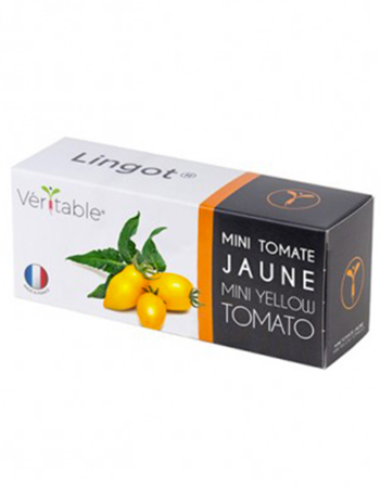 Véritable Lingot Mini yellow tomato
