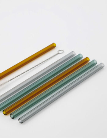 Glass straws incl. cleaner